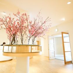 メゾン プルミエールの写真18枚目