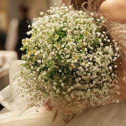 Mia Viaの写真8枚目