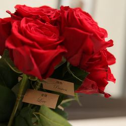 ニーズ青山 by T&G WEDDING の写真20枚目