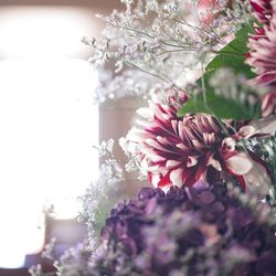 ROKUSISUI KYOTO OKAZAKIの写真3枚目