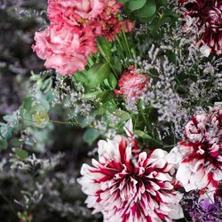 ROKUSISUI KYOTO OKAZAKIの写真13枚目