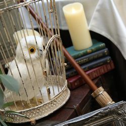 キャメロットヒルズの写真9枚目