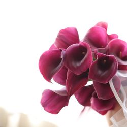 キャメロットヒルズの写真33枚目