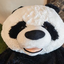 ルーキスの写真35枚目