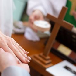 KOTOWA 奈良公園 Premium Viewの写真13枚目