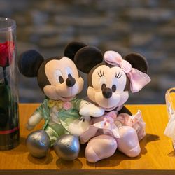 ANOTHER STYLE の写真18枚目