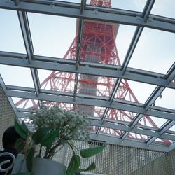 The Place of Tokyoの写真10枚目