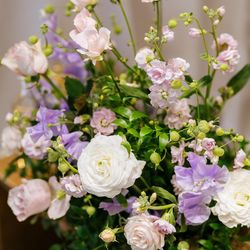 ウィズザスタイルフクオカ の写真3枚目