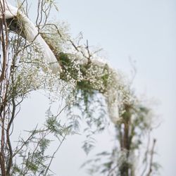 ザ・ルイガンズ スパ&リゾートの写真6枚目