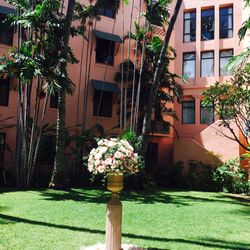 ラ・フェット ひらまつの写真14枚目