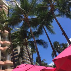 ラ・フェット ひらまつの写真6枚目