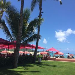 ラ・フェット ひらまつの写真3枚目