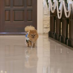 アニヴェルセル 東京ベイの写真12枚目