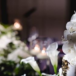 アンダーズ東京の写真30枚目