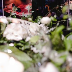 アンダーズ東京の写真17枚目