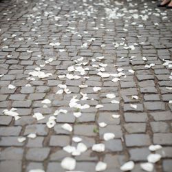 ボンボンボン ラ フェメゾンの写真32枚目