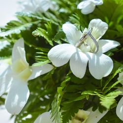 ザ・マジェスティック チャペル の写真7枚目