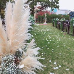 ザ・ガーデンオリエンタル大阪の写真36枚目