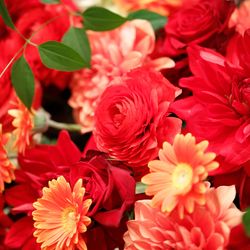 ホテル雅叙園東京の写真6枚目