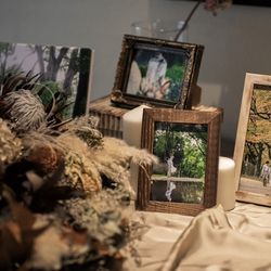 SOLA KOBEの写真32枚目