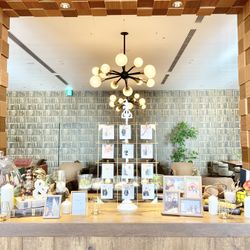 ノートルダム大阪ONEの写真26枚目