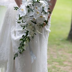 ザ・ガーデンオリエンタル大阪の写真15枚目