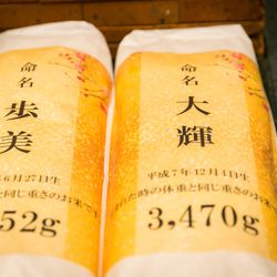 ジ・オリエンタルテラス ハイダウェイの写真34枚目