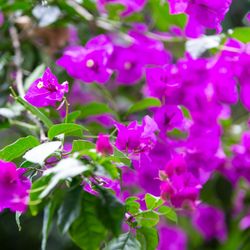 ジ・オリエンタルテラス ハイダウェイの写真3枚目