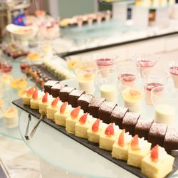 宮の森フランセス教会の写真24枚目