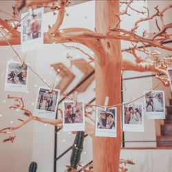 THINGS Aoyama Organic Garden.dthの写真16枚目