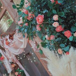 THINGS Aoyama Organic Garden.dthの写真1枚目