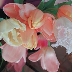 THINGS Aoyama Organic Garden.dthの写真30枚目