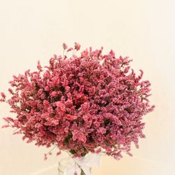 ララシャンス 博多の森の写真22枚目