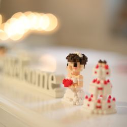 ラ・バンク・ド・ロアの写真18枚目