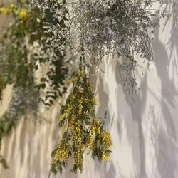 TRUNK HOTELの写真23枚目