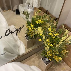 TRUNK HOTELの写真31枚目