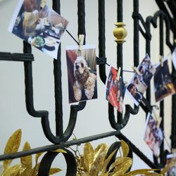 青山セントグレース大聖堂の写真36枚目