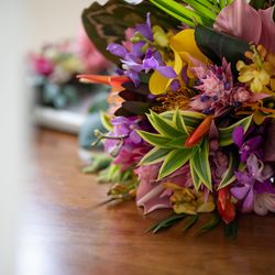 ハレプナカイの写真17枚目