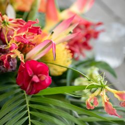 ハレプナカイの写真7枚目