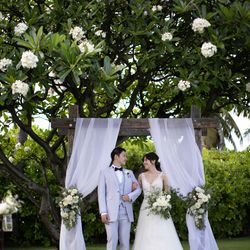 ハレプナカイの写真34枚目