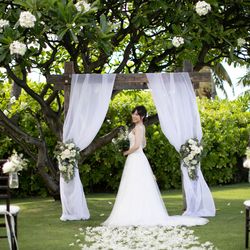 ハレプナカイの写真8枚目