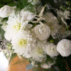 ハレプナカイの写真23枚目