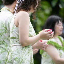 ハレプナカイの写真1枚目