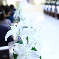 ノートルダム神戸の写真25枚目