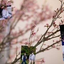 ル・グラン・ミラージュ ONE & ONLYの写真7枚目