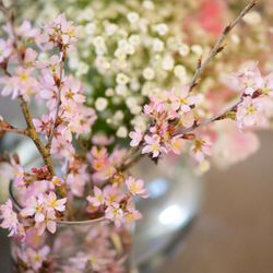 ル・グラン・ミラージュ ONE & ONLYの写真36枚目