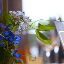 ジ・オリエンタルテラス ハイダウェイの写真12枚目