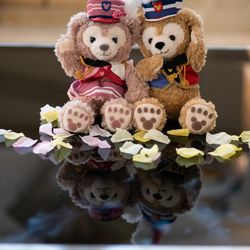 ル・グラン・ミラージュ ONE & ONLYの写真11枚目