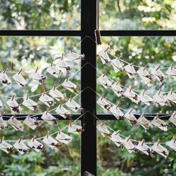 ザ ナンザンハウスの写真5枚目