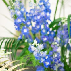 ル・グラン・ミラージュ ONE & ONLYの写真32枚目